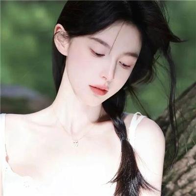 龟甲秘事之拨云见日